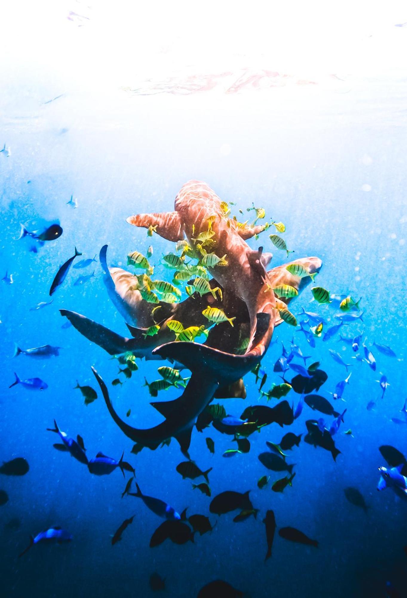 Ukulhas Sands Dış mekan fotoğraf